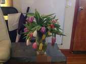 Damaged flowers & terrible Customer Service Damaged flowers & terrible Customer Service