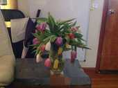 Damaged Flowers & TErrible Customer Service Damaged Flowers & TErrible Customer Service